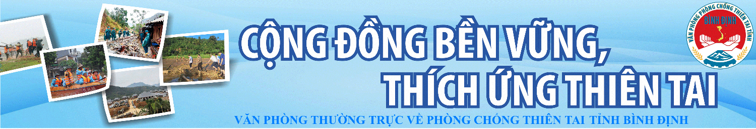 Văn phòng Thường trực Ban Chỉ huy Phòng chống thiên tai tỉnh Bình Định